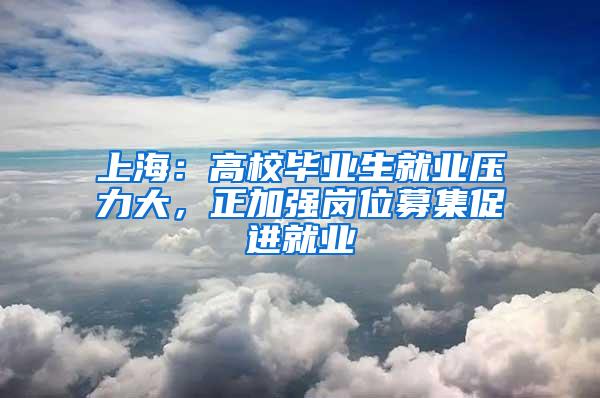 上海：高校毕业生就业压力大，正加强岗位募集促进就业