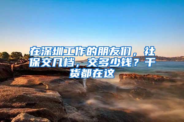 在深圳工作的朋友们，社保交几档，交多少钱？干货都在这