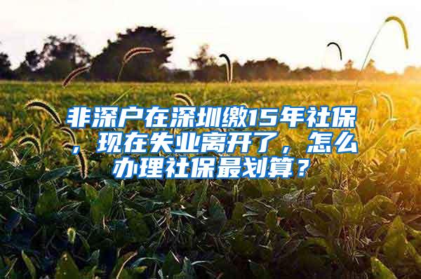 非深户在深圳缴15年社保，现在失业离开了，怎么办理社保最划算？