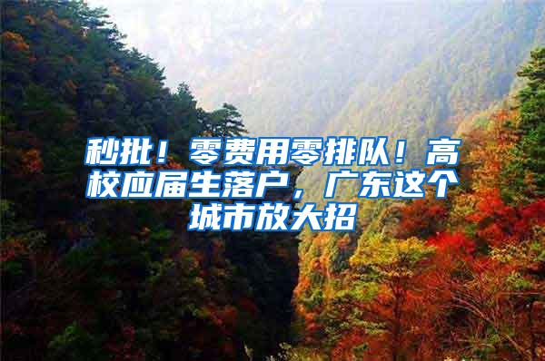 秒批！零费用零排队！高校应届生落户，广东这个城市放大招