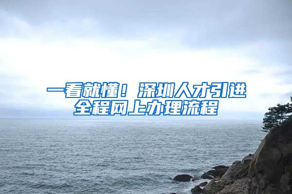 一看就懂！深圳人才引进全程网上办理流程