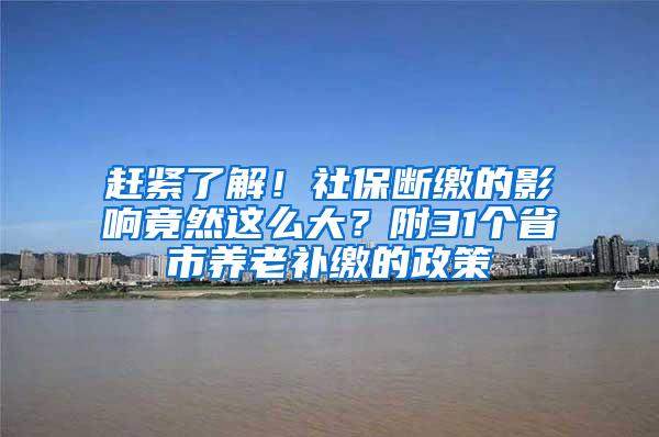 赶紧了解！社保断缴的影响竟然这么大？附31个省市养老补缴的政策