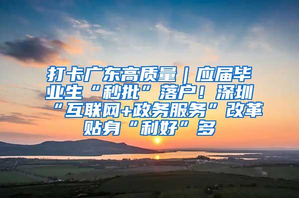 打卡广东高质量｜应届毕业生“秒批”落户！深圳“互联网+政务服务”改革贴身“利好”多