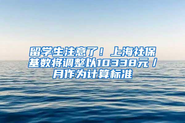 留学生注意了！上海社保基数将调整以10338元／月作为计算标准