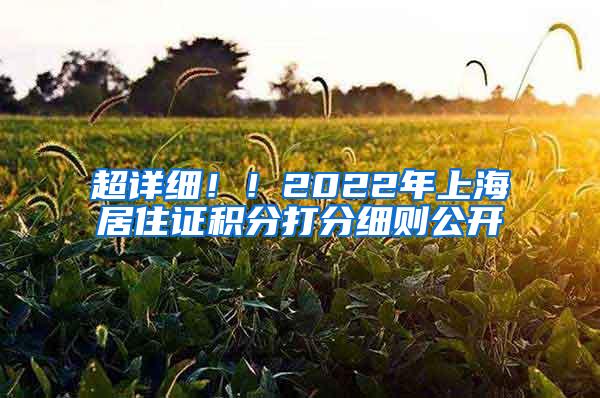 超详细！！2022年上海居住证积分打分细则公开