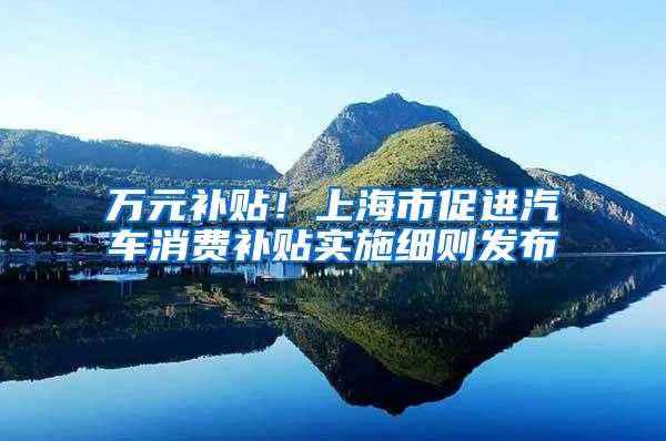万元补贴！上海市促进汽车消费补贴实施细则发布
