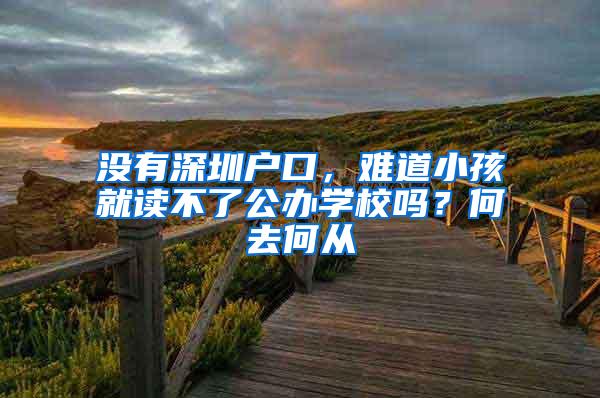 没有深圳户口，难道小孩就读不了公办学校吗？何去何从