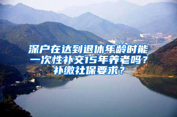 深户在达到退休年龄时能一次性补交15年养老吗？补缴社保要求？