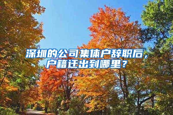 深圳的公司集体户辞职后，户籍迁出到哪里？