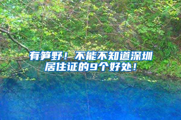 有笋野！不能不知道深圳居住证的9个好处！