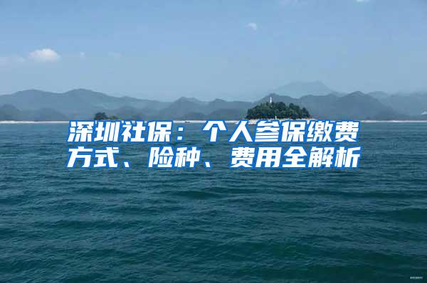 深圳社保：个人参保缴费方式、险种、费用全解析