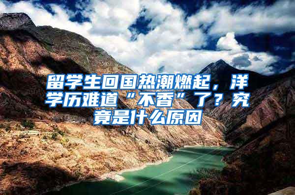 留学生回国热潮燃起，洋学历难道“不香”了？究竟是什么原因