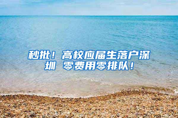 秒批！高校应届生落户深圳 零费用零排队！
