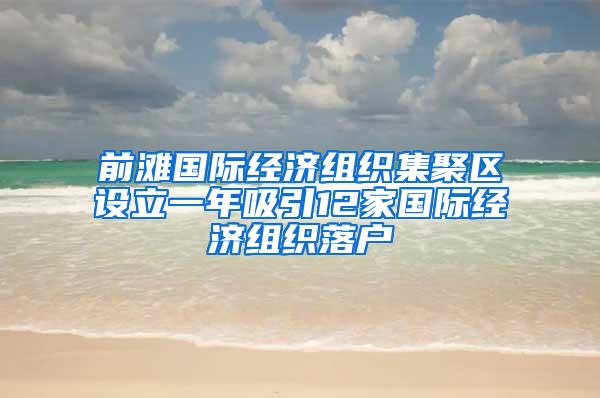 前滩国际经济组织集聚区设立一年吸引12家国际经济组织落户
