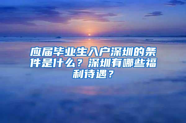 应届毕业生入户深圳的条件是什么？深圳有哪些福利待遇？