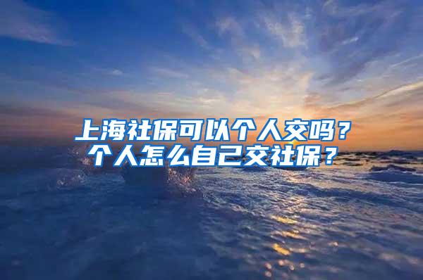 上海社保可以个人交吗？个人怎么自己交社保？