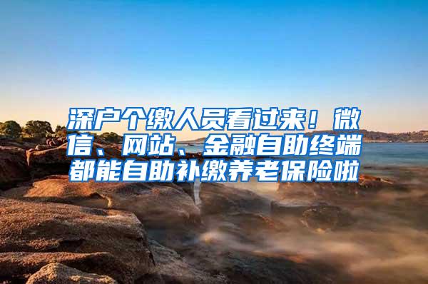 深户个缴人员看过来！微信、网站、金融自助终端都能自助补缴养老保险啦