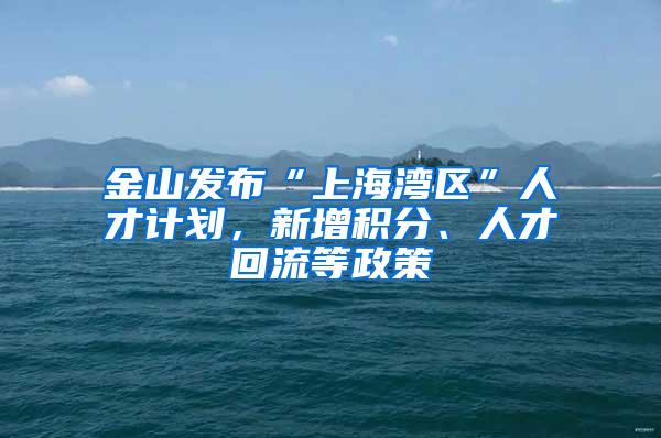 金山发布“上海湾区”人才计划，新增积分、人才回流等政策