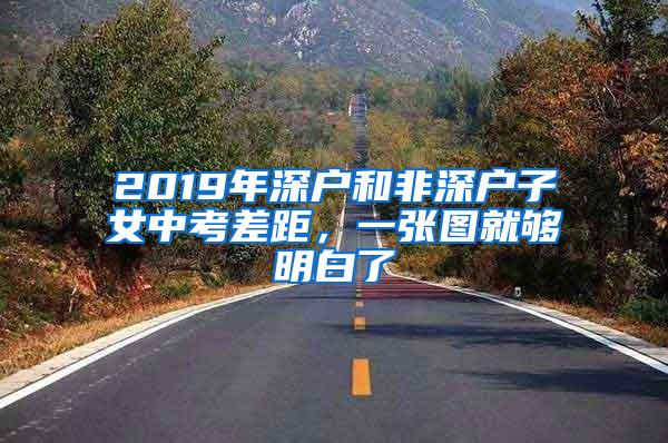 2019年深户和非深户子女中考差距，一张图就够明白了