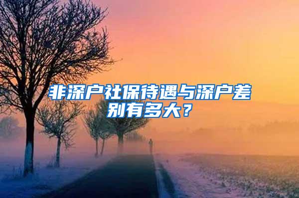 非深户社保待遇与深户差别有多大？