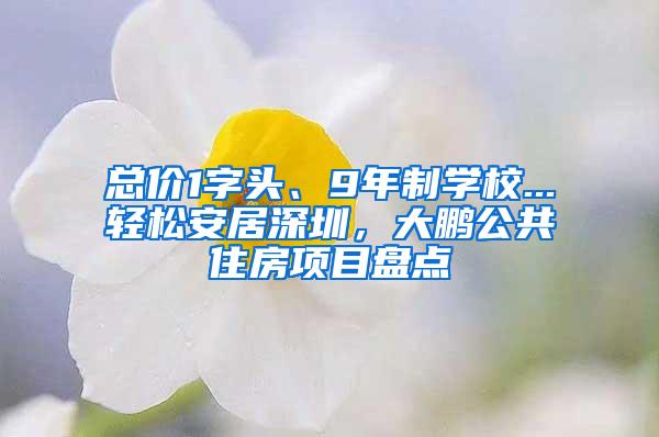 总价1字头、9年制学校...轻松安居深圳，大鹏公共住房项目盘点