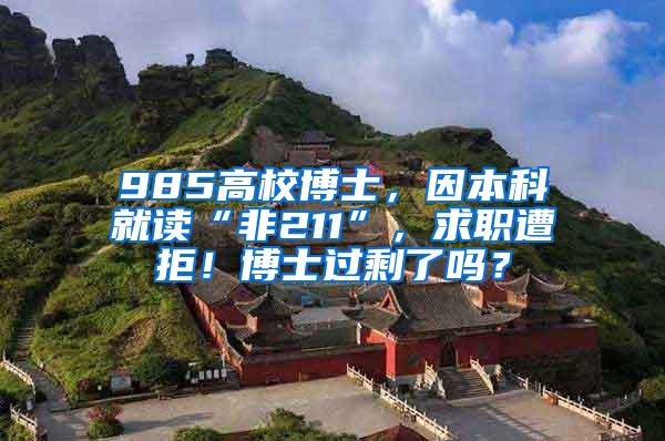 985高校博士，因本科就读“非211”，求职遭拒！博士过剩了吗？