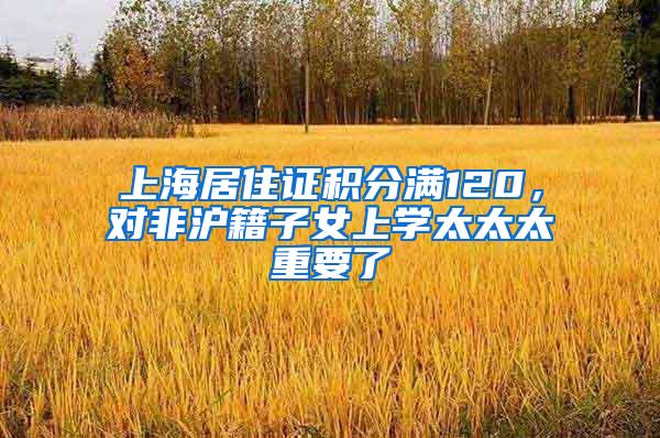 上海居住证积分满120，对非沪籍子女上学太太太重要了