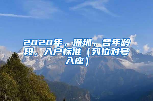 2020年，深圳，各年龄段，入户标准（列位对号入座）