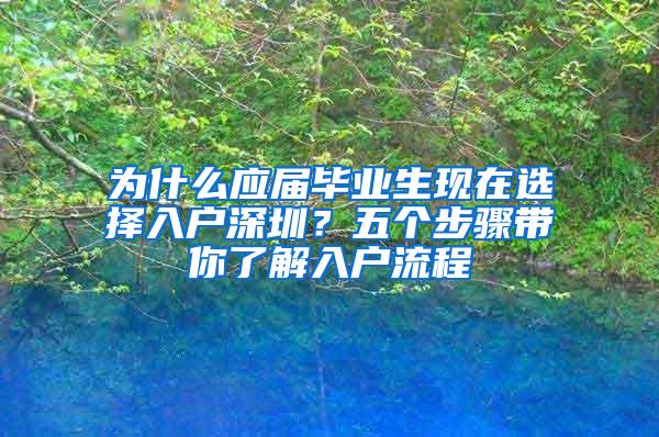 为什么应届毕业生现在选择入户深圳？五个步骤带你了解入户流程