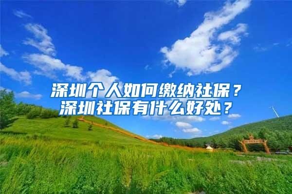 深圳个人如何缴纳社保？深圳社保有什么好处？