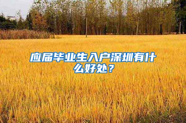 应届毕业生入户深圳有什么好处？