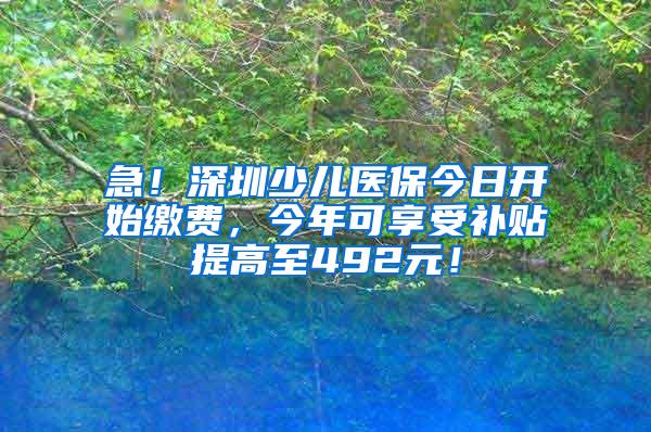 急！深圳少儿医保今日开始缴费，今年可享受补贴提高至492元！