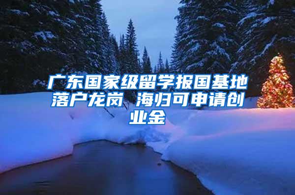 广东国家级留学报国基地落户龙岗 海归可申请创业金