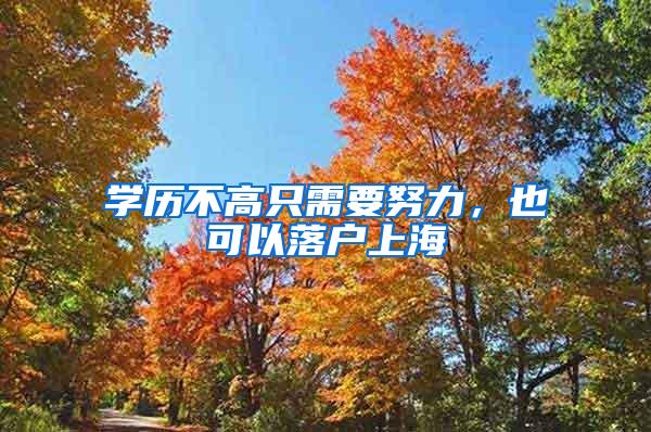 学历不高只需要努力，也可以落户上海