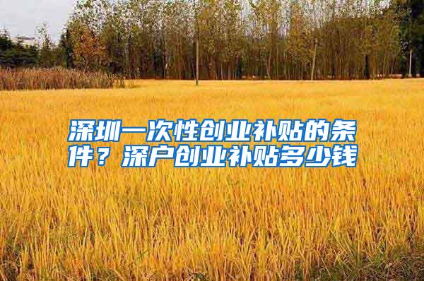 深圳一次性创业补贴的条件？深户创业补贴多少钱