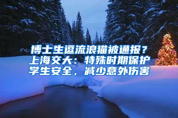 博士生逗流浪猫被通报？上海交大：特殊时期保护学生安全，减少意外伤害