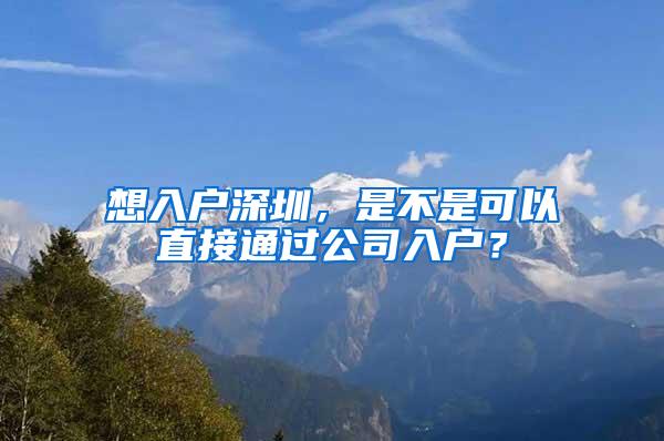 想入户深圳，是不是可以直接通过公司入户？