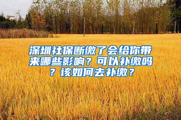 深圳社保断缴了会给你带来哪些影响？可以补缴吗？该如何去补缴？