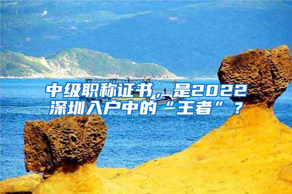 中级职称证书，是2022深圳入户中的“王者”？