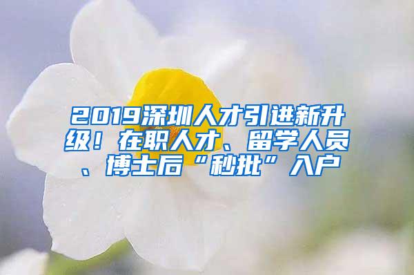 2019深圳人才引进新升级！在职人才、留学人员、博士后“秒批”入户