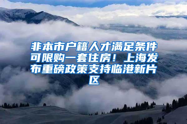 非本市户籍人才满足条件可限购一套住房！上海发布重磅政策支持临港新片区