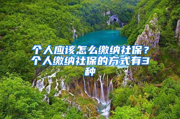 个人应该怎么缴纳社保？个人缴纳社保的方式有3种