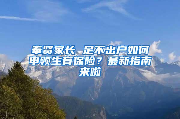 奉贤家长 足不出户如何申领生育保险？最新指南来啦