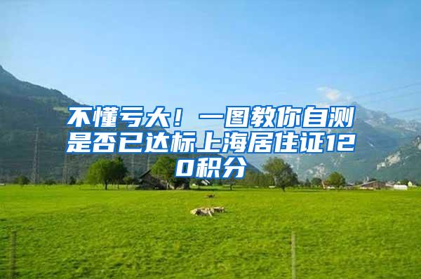 不懂亏大！一图教你自测是否已达标上海居住证120积分