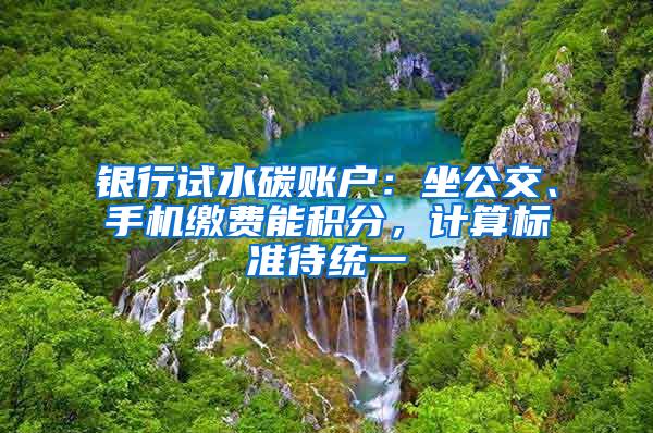 银行试水碳账户：坐公交、手机缴费能积分，计算标准待统一