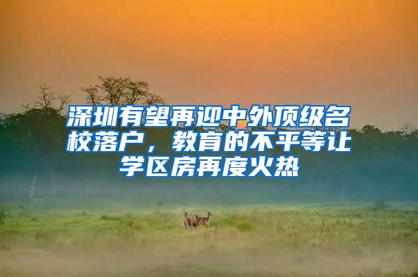 深圳有望再迎中外顶级名校落户，教育的不平等让学区房再度火热