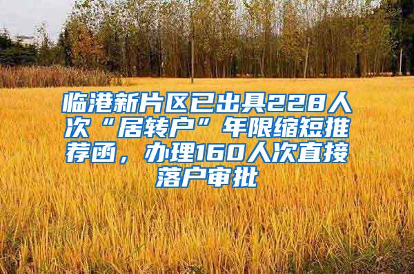 临港新片区已出具228人次“居转户”年限缩短推荐函，办理160人次直接落户审批