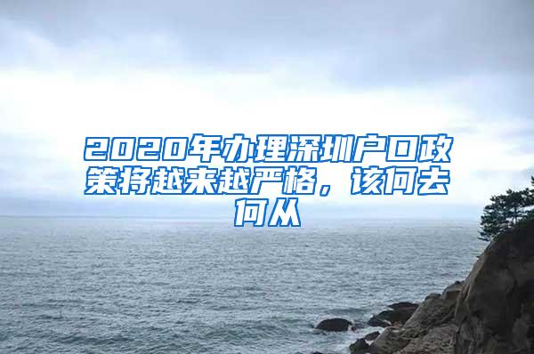 2020年办理深圳户口政策将越来越严格，该何去何从