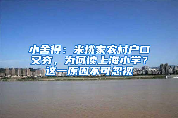 小舍得：米桃家农村户口又穷，为何读上海小学？这一原因不可忽视