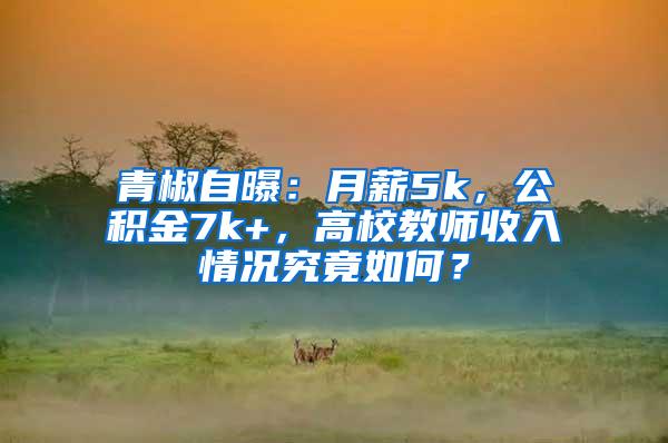 青椒自曝：月薪5k，公积金7k+，高校教师收入情况究竟如何？